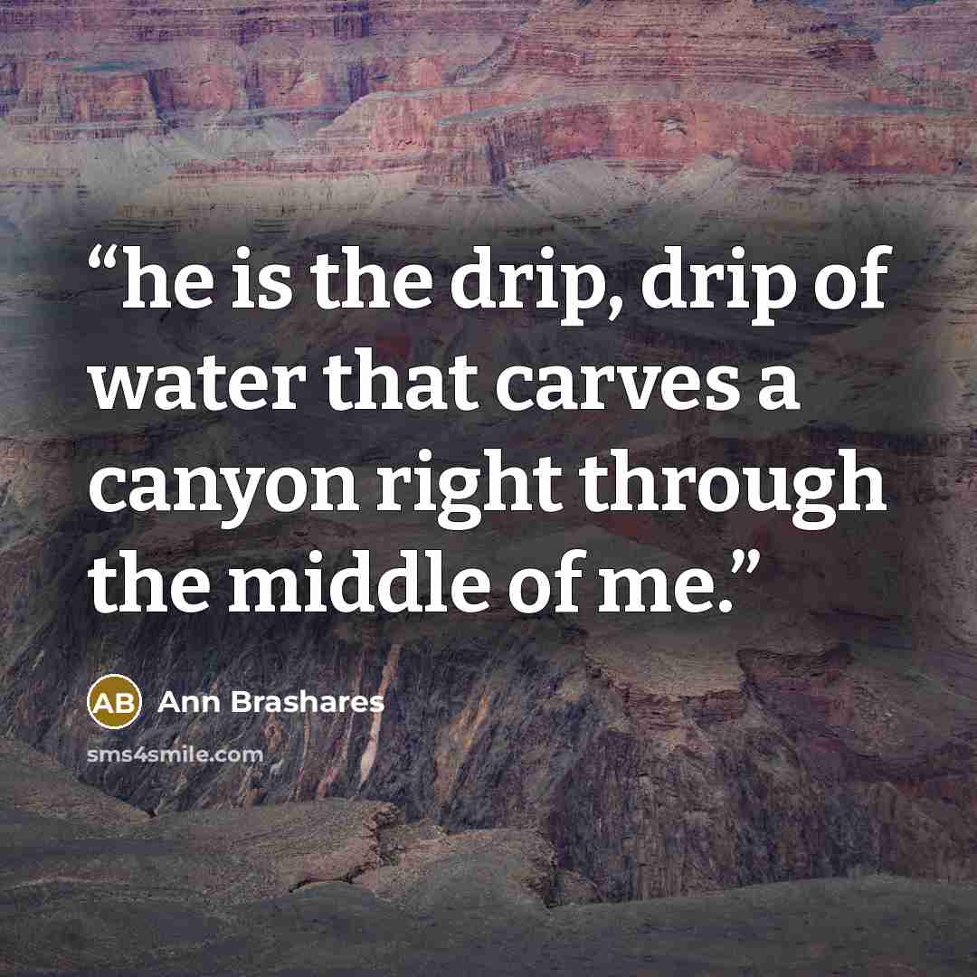 “he is the drip, drip of water that carves a canyon right through the middle of me.” quote by Ann Brashares