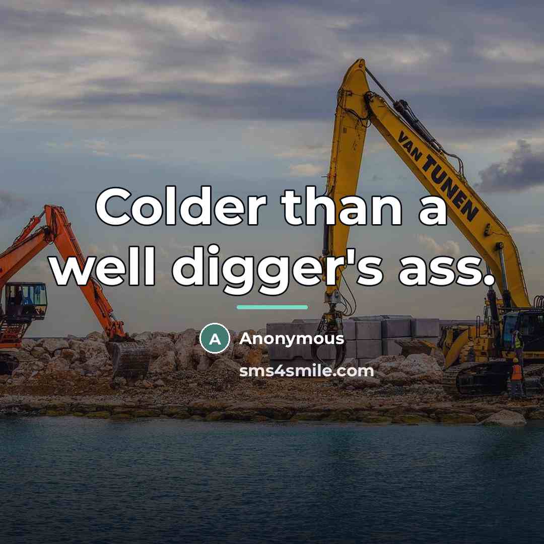 “Colder than a well digger's ass.…” quote by Anonymous