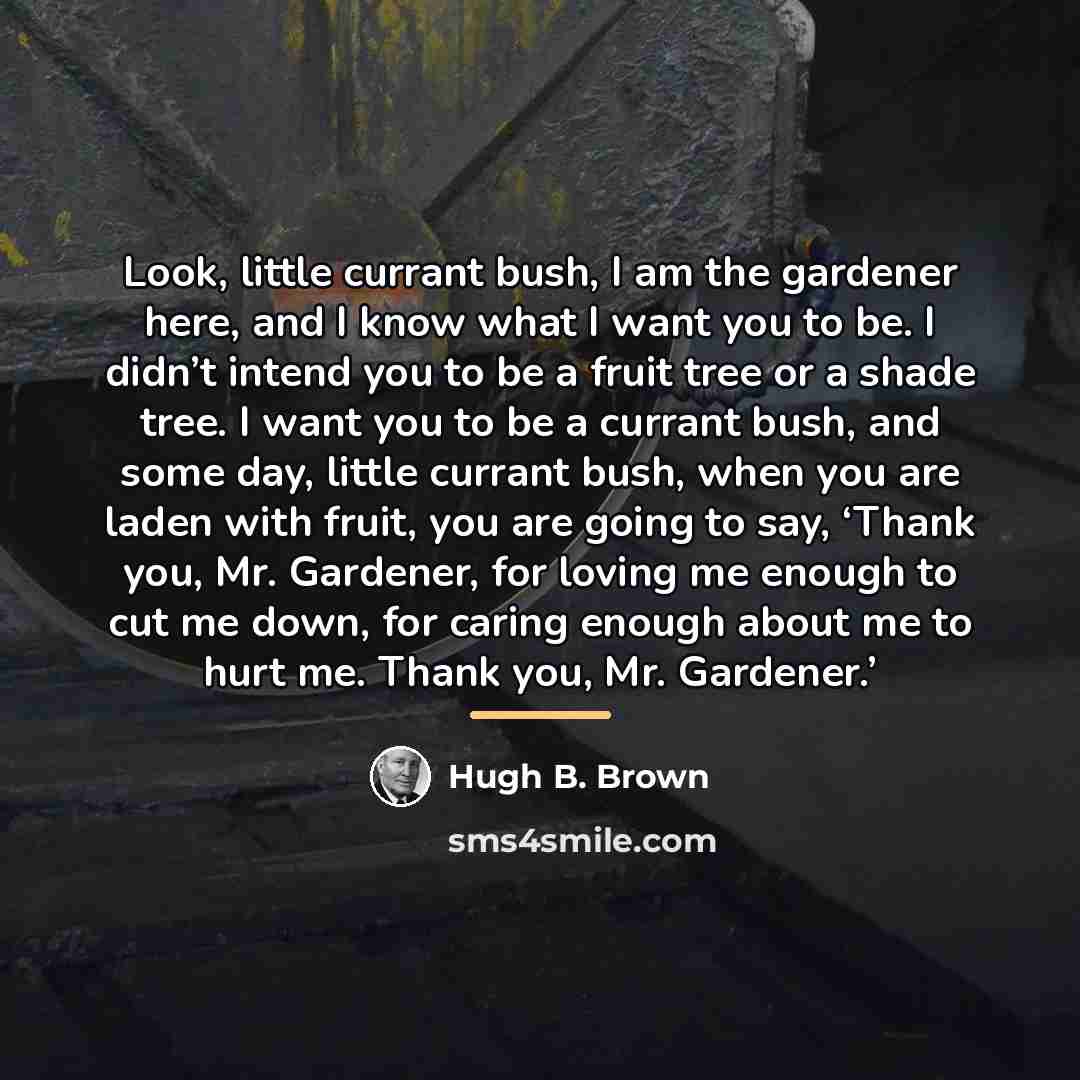 “Look, little currant bush, I am the gardener here, and…” quote by Hugh B. Brown