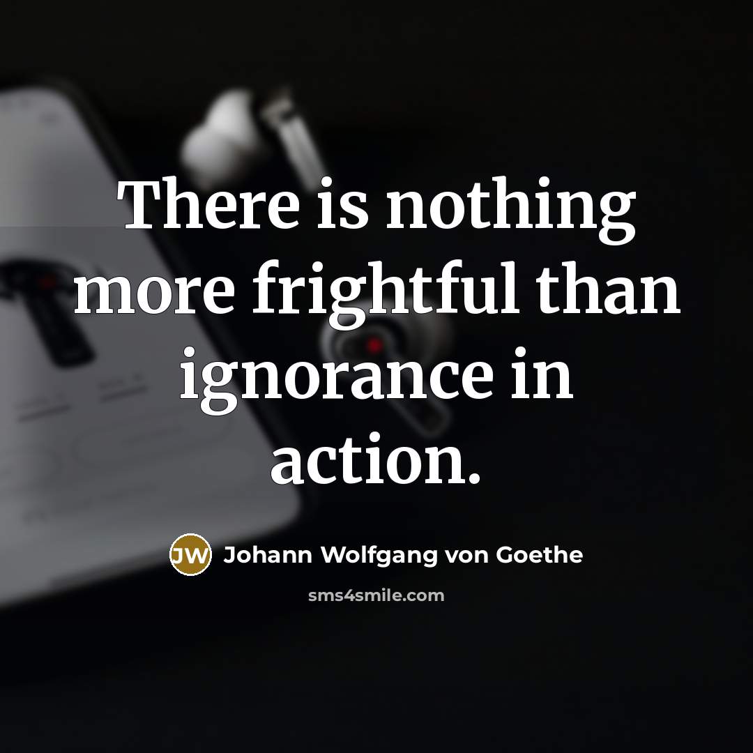 “There is nothing more frightful than ignorance in action.…” quote by Johann Wolfgang von Goethe