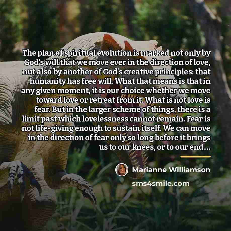 “The plan of spiritual evolution is marked not only by…” quote by Marianne Williamson