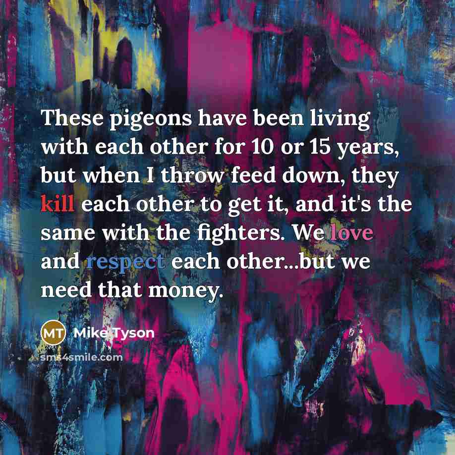 “These pigeons have been living with each other for 10…” quote by Mike Tyson