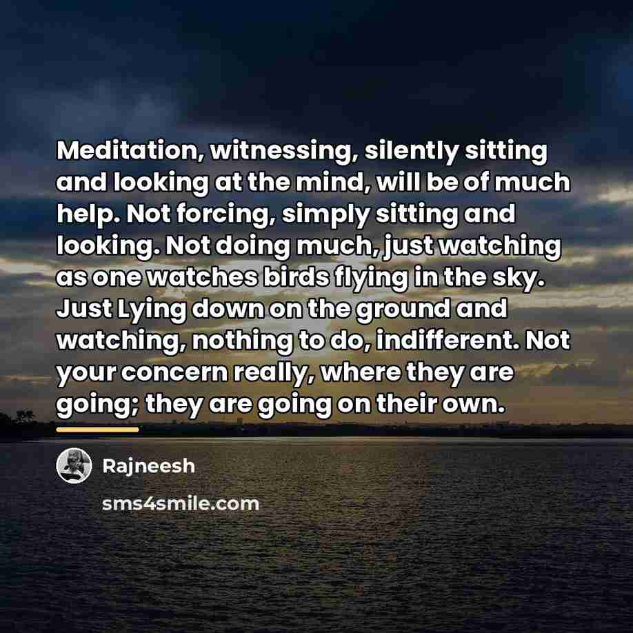 “Meditation, witnessing, silently sitting and looking at the mind, will…” quote by Rajneesh