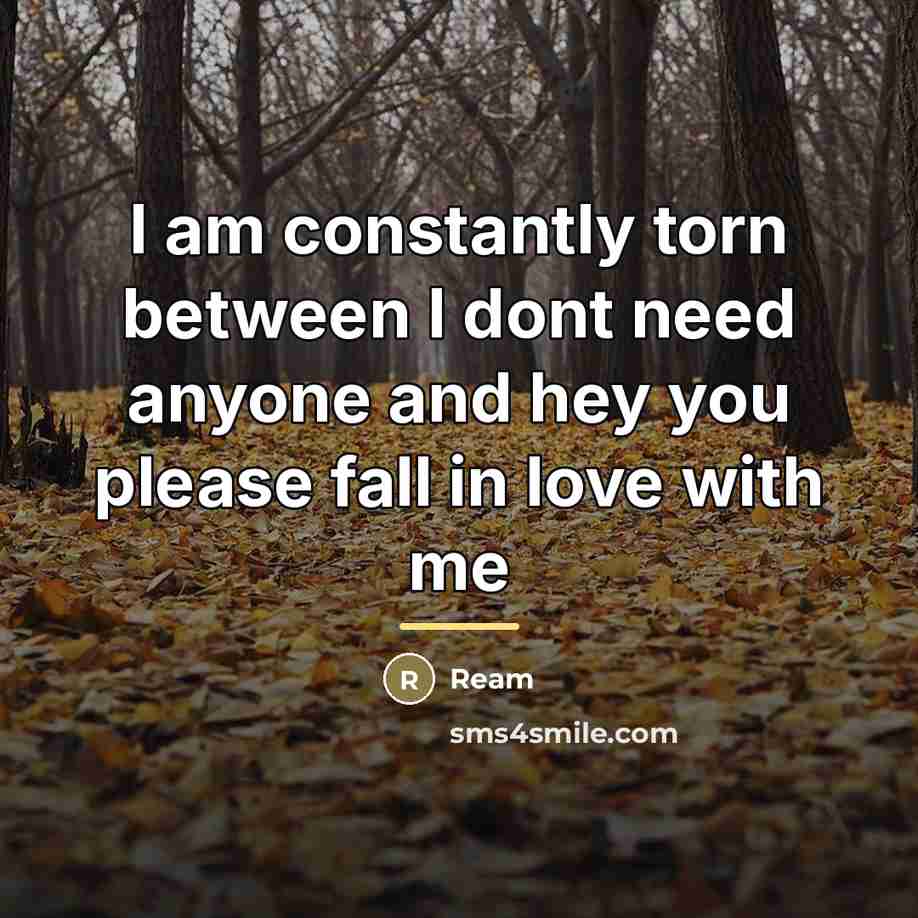 “I am constantly torn between I dont need anyone and…” quote by Ream