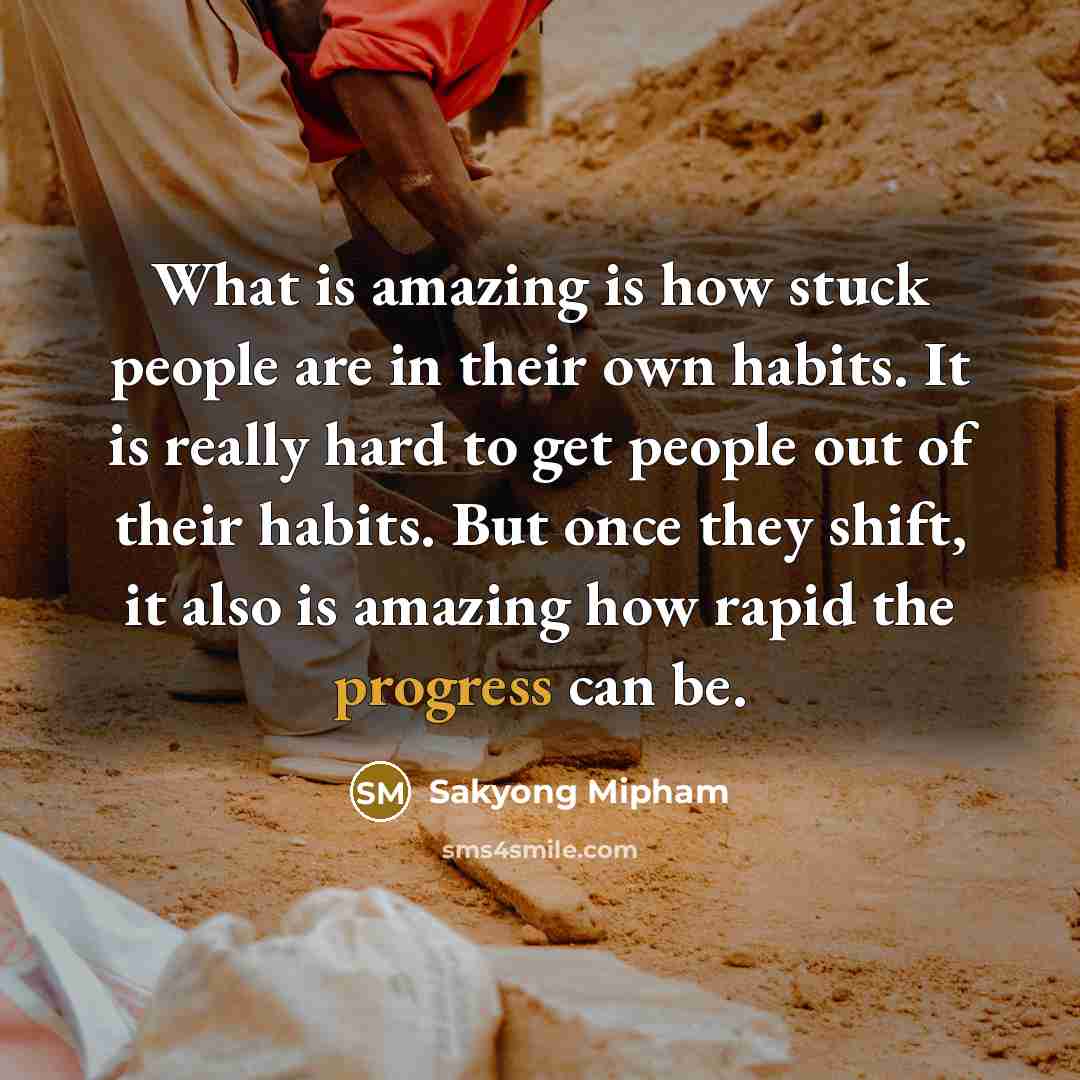 “What is amazing is how stuck people are in their…” quote by Sakyong Mipham