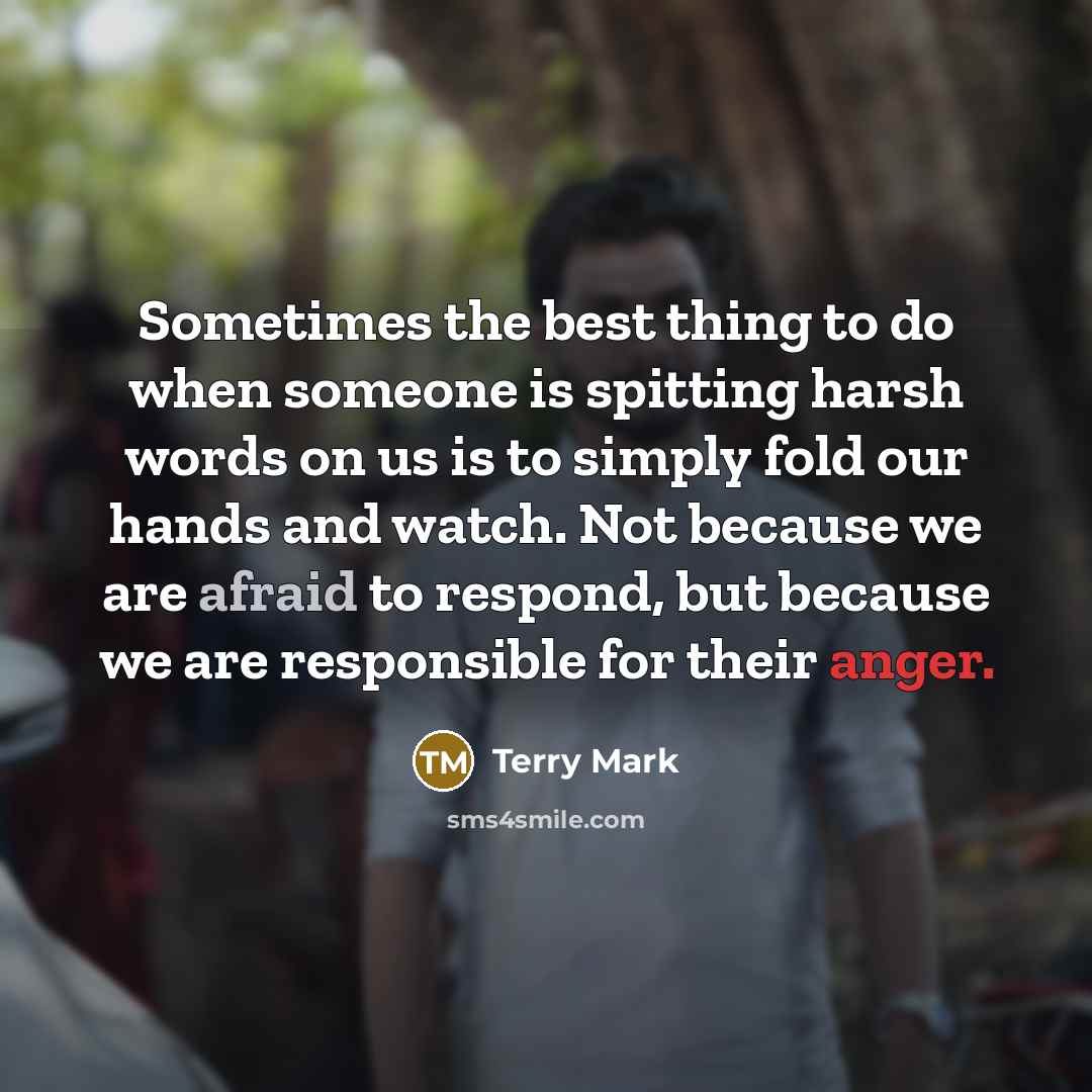 “Sometimes the best thing to do when someone is spitting harsh words on us is to simply fold our hands and watch. Not because we are afraid to respond, but because we are responsible for their anger.” quote by Terry Mark