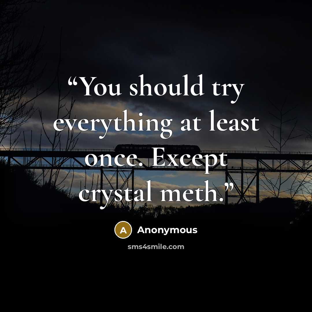 “You should try everything at least once. Except crystal meth.” quote by Anonymous