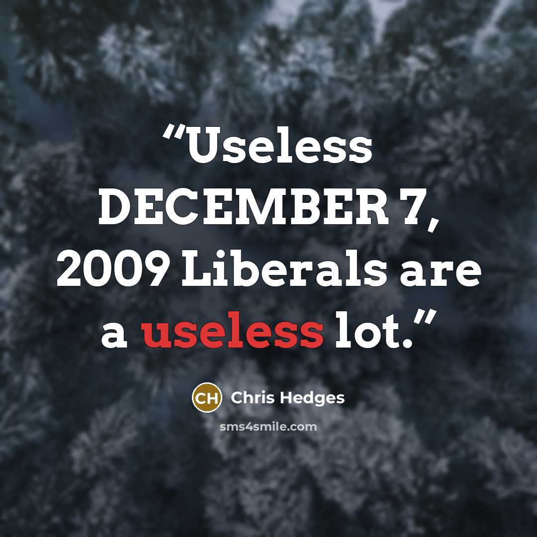 “Useless DECEMBER 7, 2009 Liberals are a useless lot.” quote by Chris Hedges