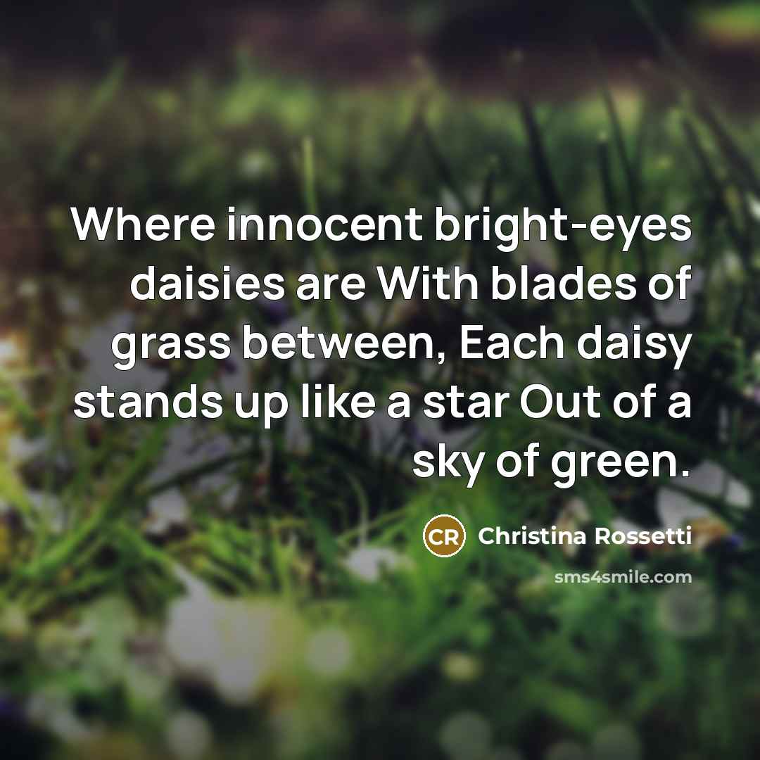 “Where innocent bright-eyes daisies are With blades of grass between,…” quote by Christina Rossetti