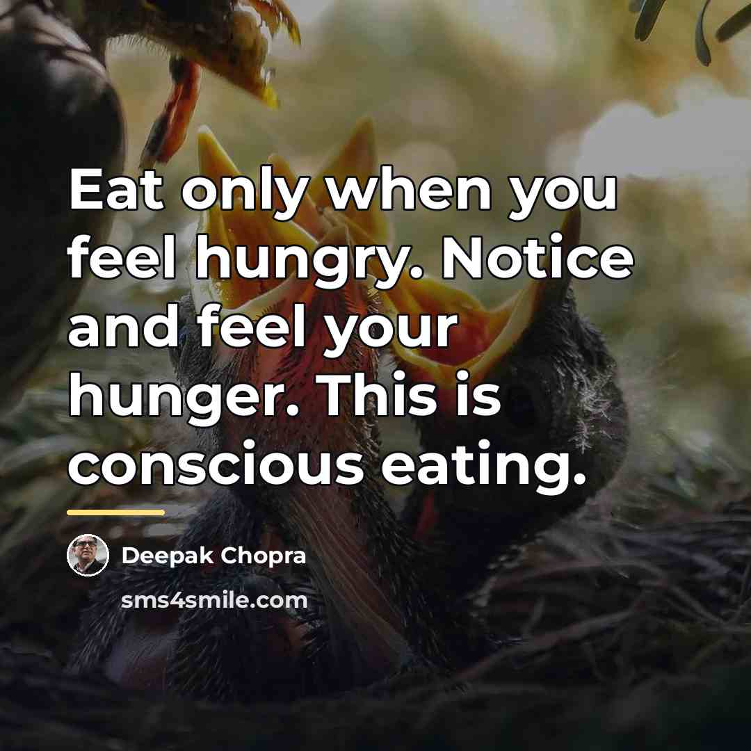 “Eat only when you feel hungry. Notice and feel your…” quote by Deepak Chopra