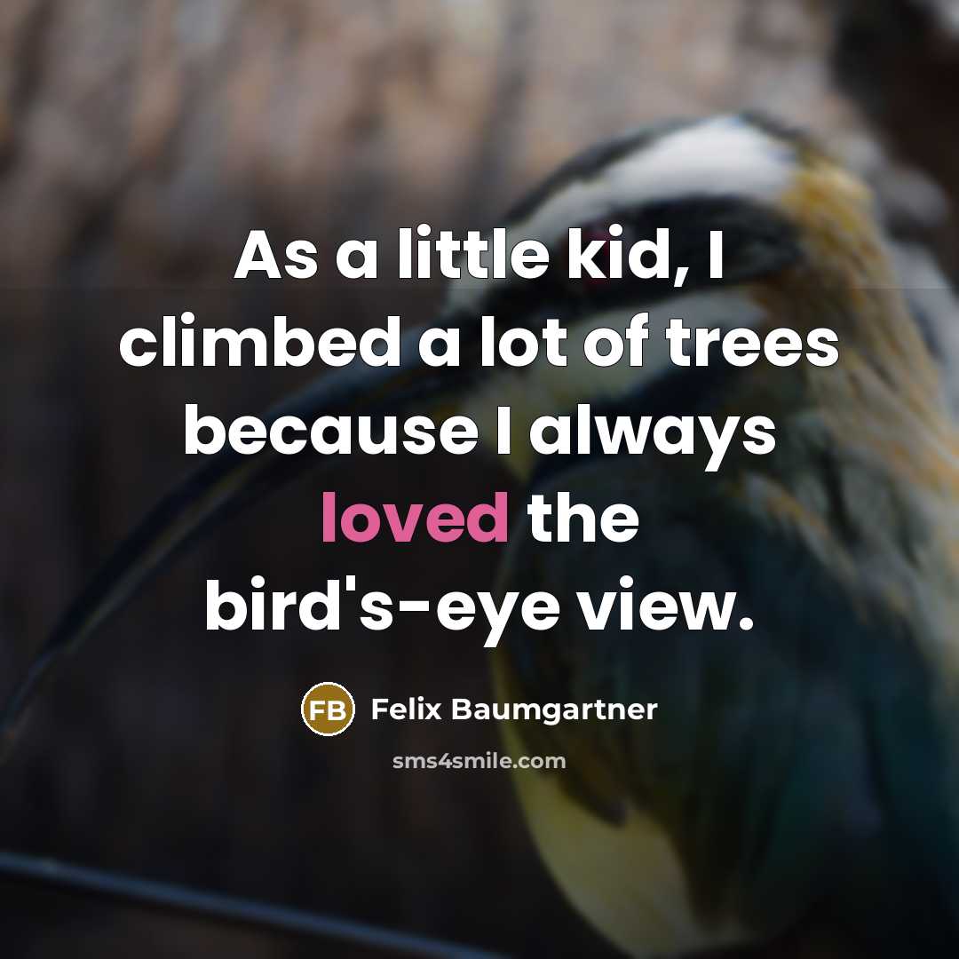 “As a little kid, I climbed a lot of trees…” quote by Felix Baumgartner