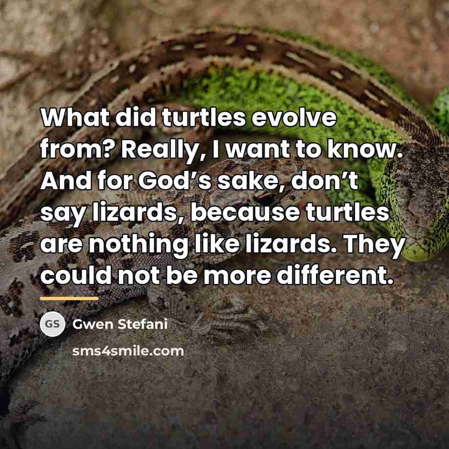“What did turtles evolve from? Really, I want to know.…” quote by Gwen Stefani