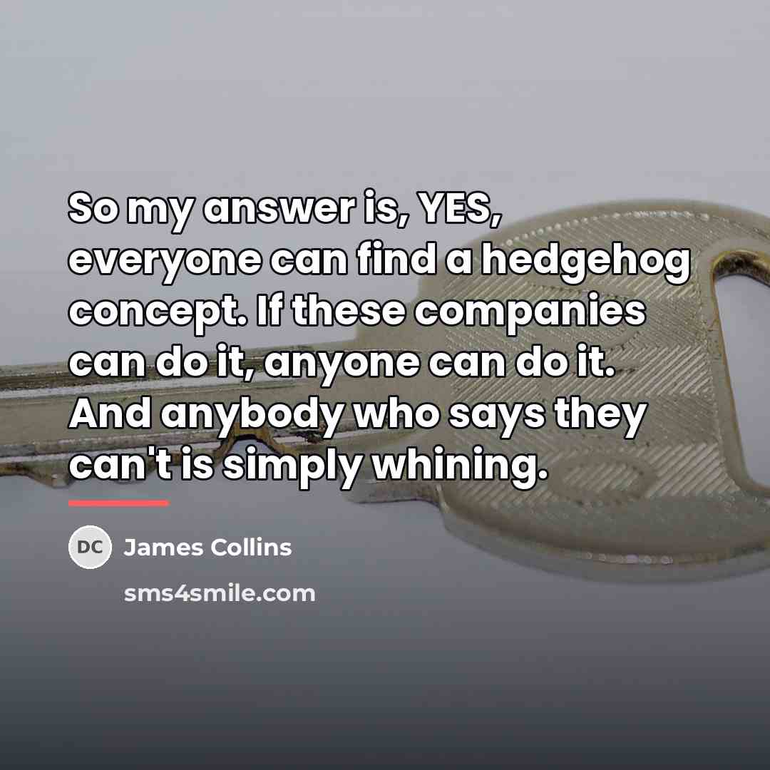 “So my answer is, YES, everyone can find a hedgehog…” quote by James Collins
