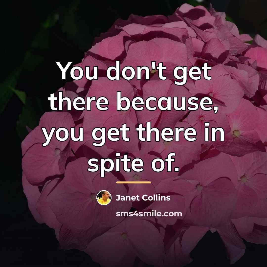 “You don't get there because, you get there in spite…” quote by Janet Collins