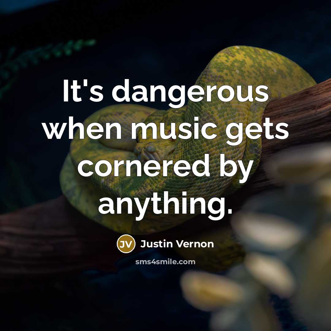 “It's dangerous when music gets cornered by anything.…” quote by Justin Vernon