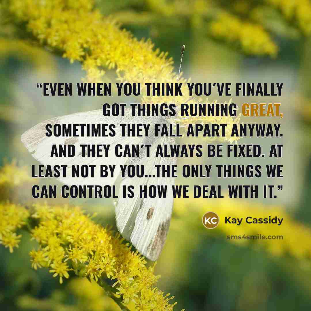 “Even when you think you´ve finally got things running great, sometimes they fall apart anyway. And they can´t always be fixed. At least not by you...The only things we can control is how we deal with it.” quote by Kay Cassidy