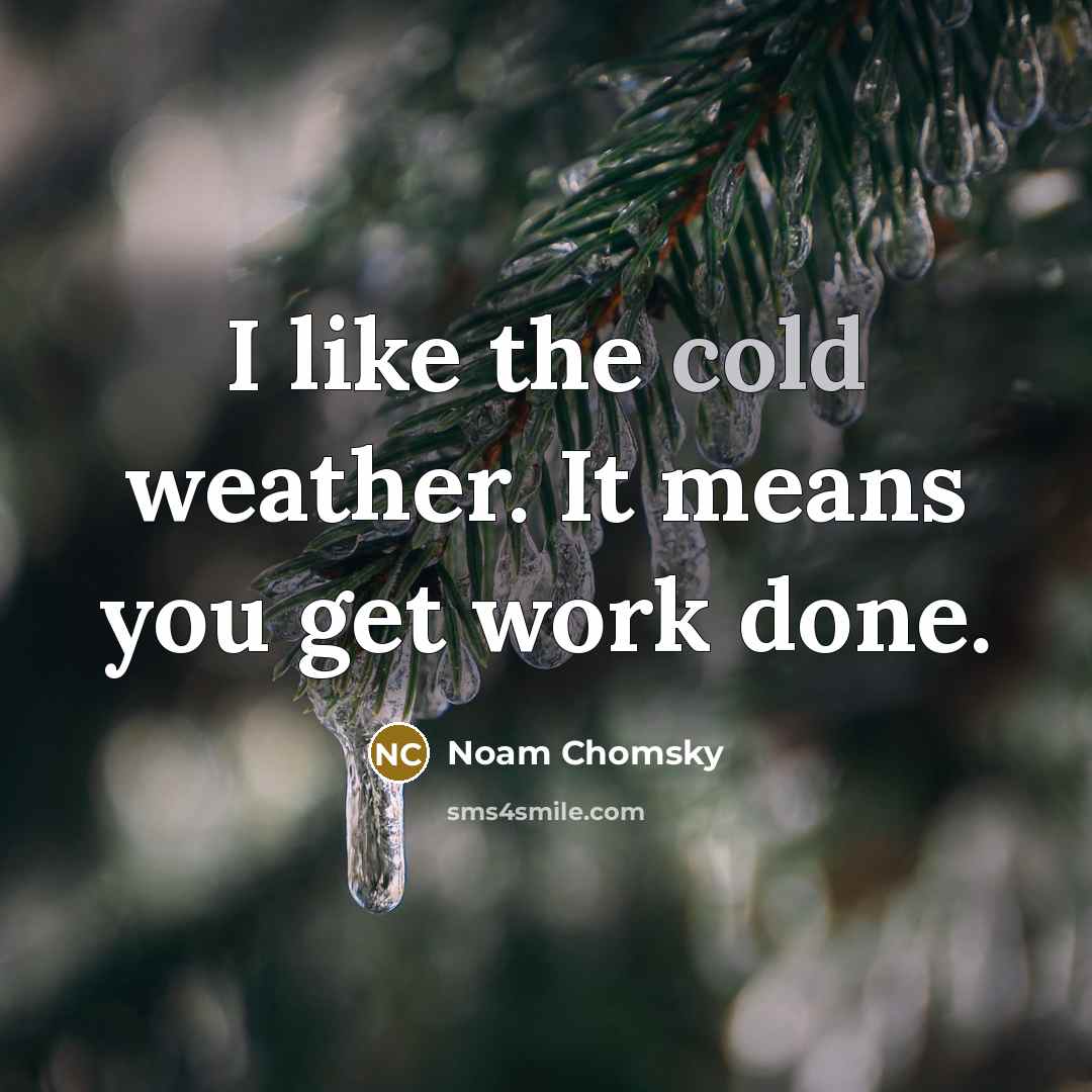 “I like the cold weather. It means you get work…” quote by Noam Chomsky