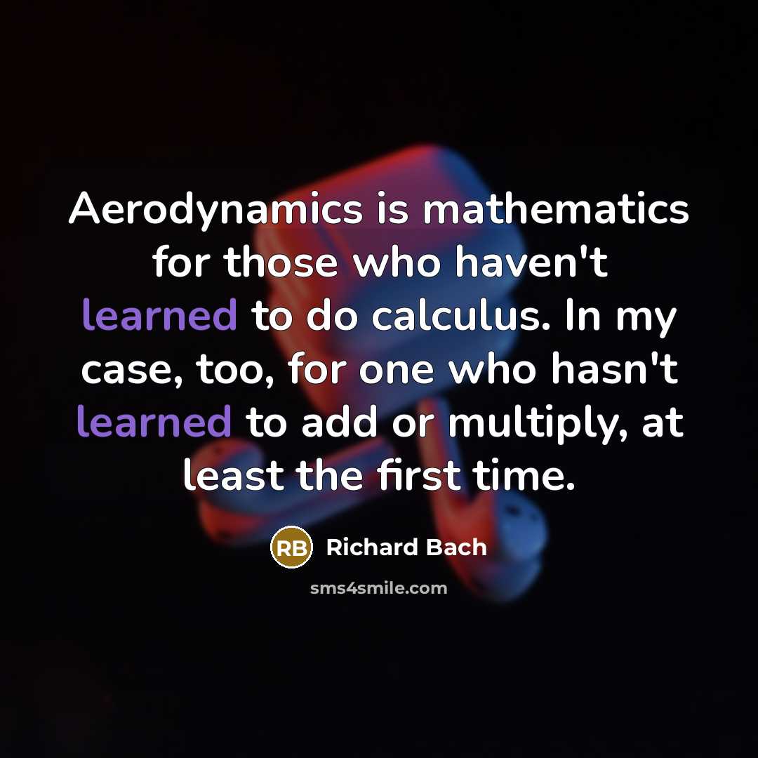 “Aerodynamics is mathematics for those who haven't learned to do…” quote by Richard Bach