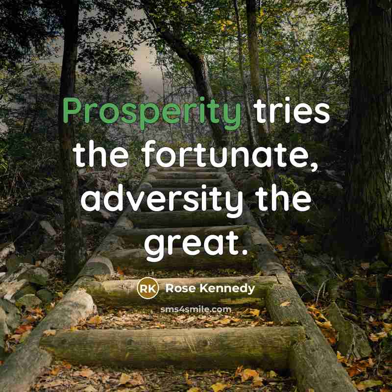 “Prosperity tries the fortunate, adversity the great.…” quote by Rose Kennedy