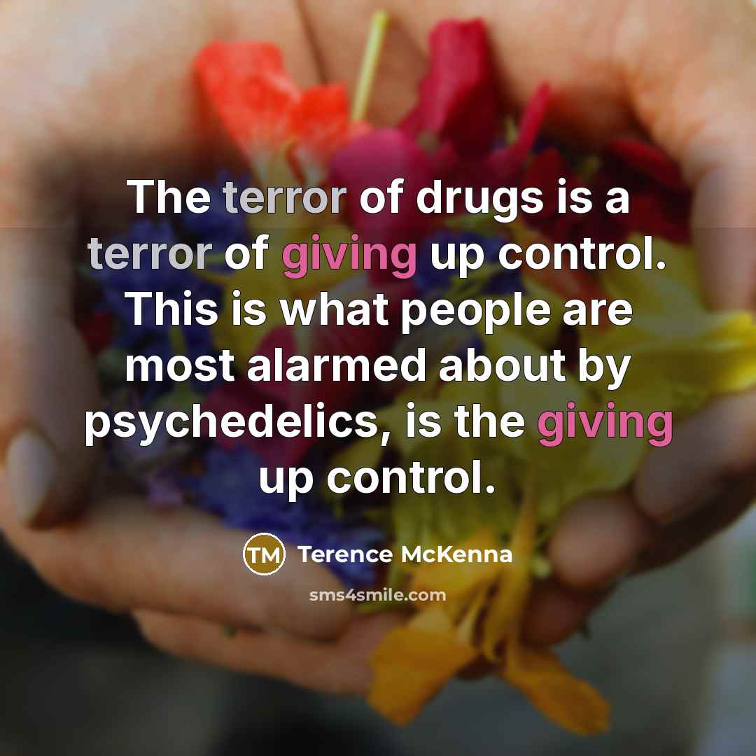“The terror of drugs is a terror of giving up…” quote by Terence McKenna