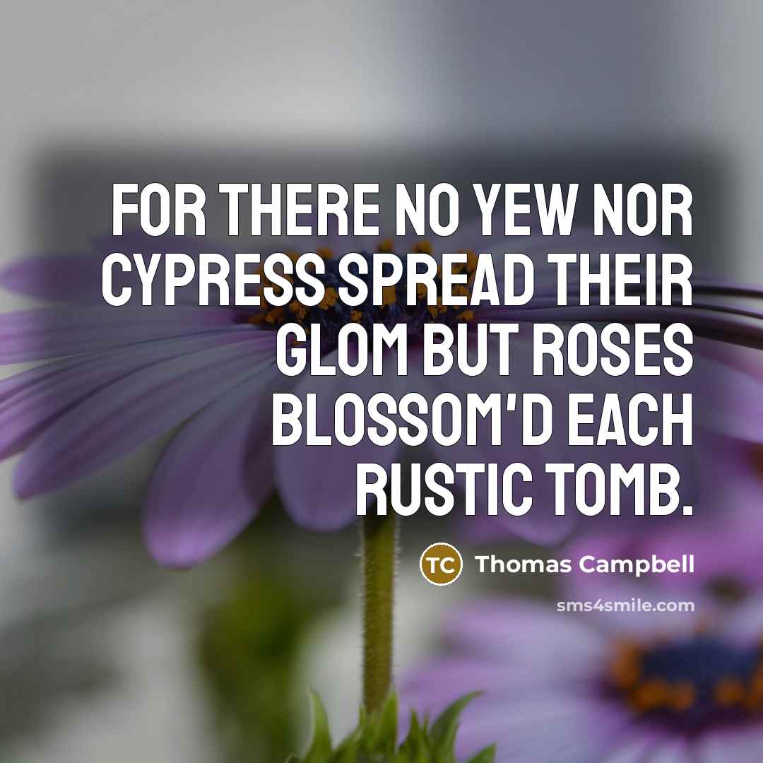 “For there no yew nor cypress spread their glom But…” quote by Thomas Campbell