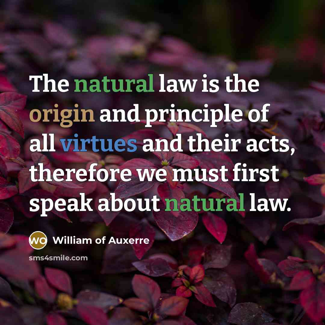 “The natural law is the origin and principle of all…” quote by William of Auxerre