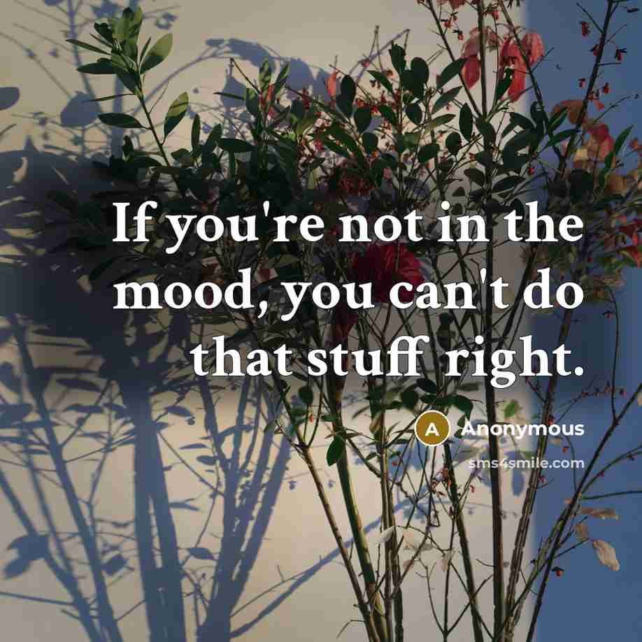 “If you're not in the mood, you can't do that…” quote by Anonymous