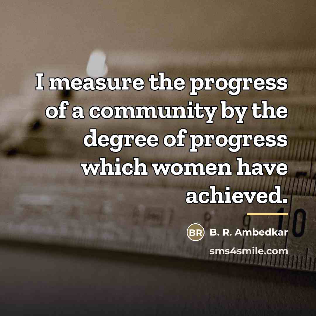 “I measure the progress of a community by the degree…” quote by B. R. Ambedkar