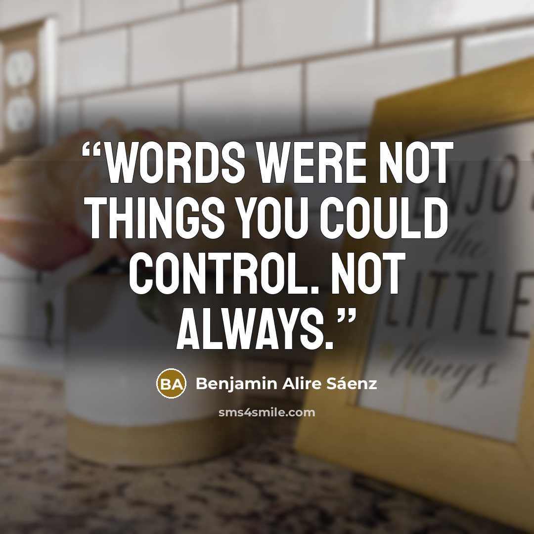 “Words were not things you could control. Not always.” quote by Benjamin Alire Sáenz