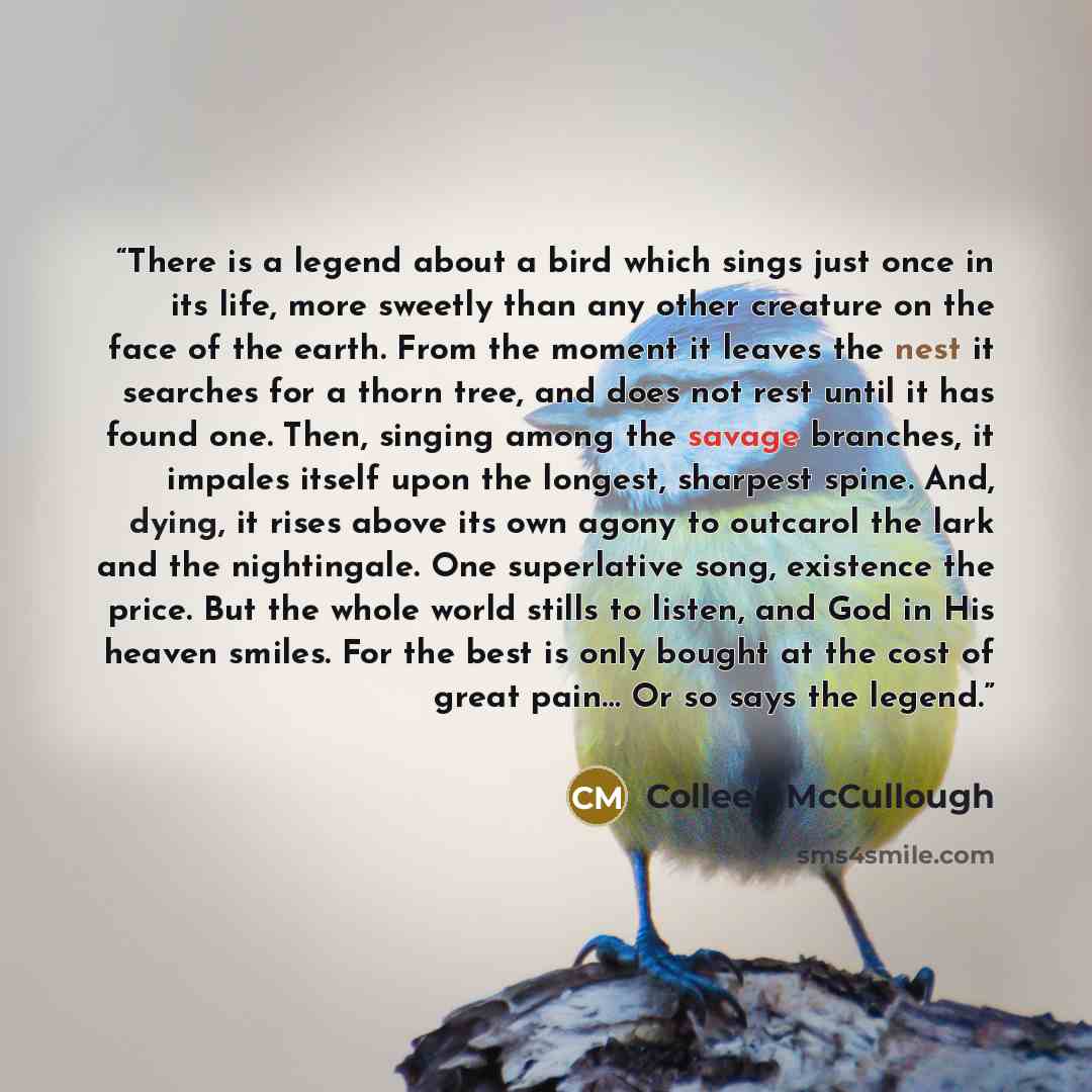 “There is a legend about a bird which sings just once in its life, more sweetly than any other creature on the face of the earth. From the moment it leaves the nest it searches for a thorn tree, and does not rest until it has found one. Then, singing among the savage branches, it impales itself…” quote by Colleen McCullough
