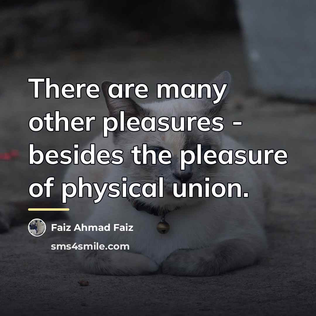 “There are many other pleasures - besides the pleasure of…” quote by Faiz Ahmad Faiz