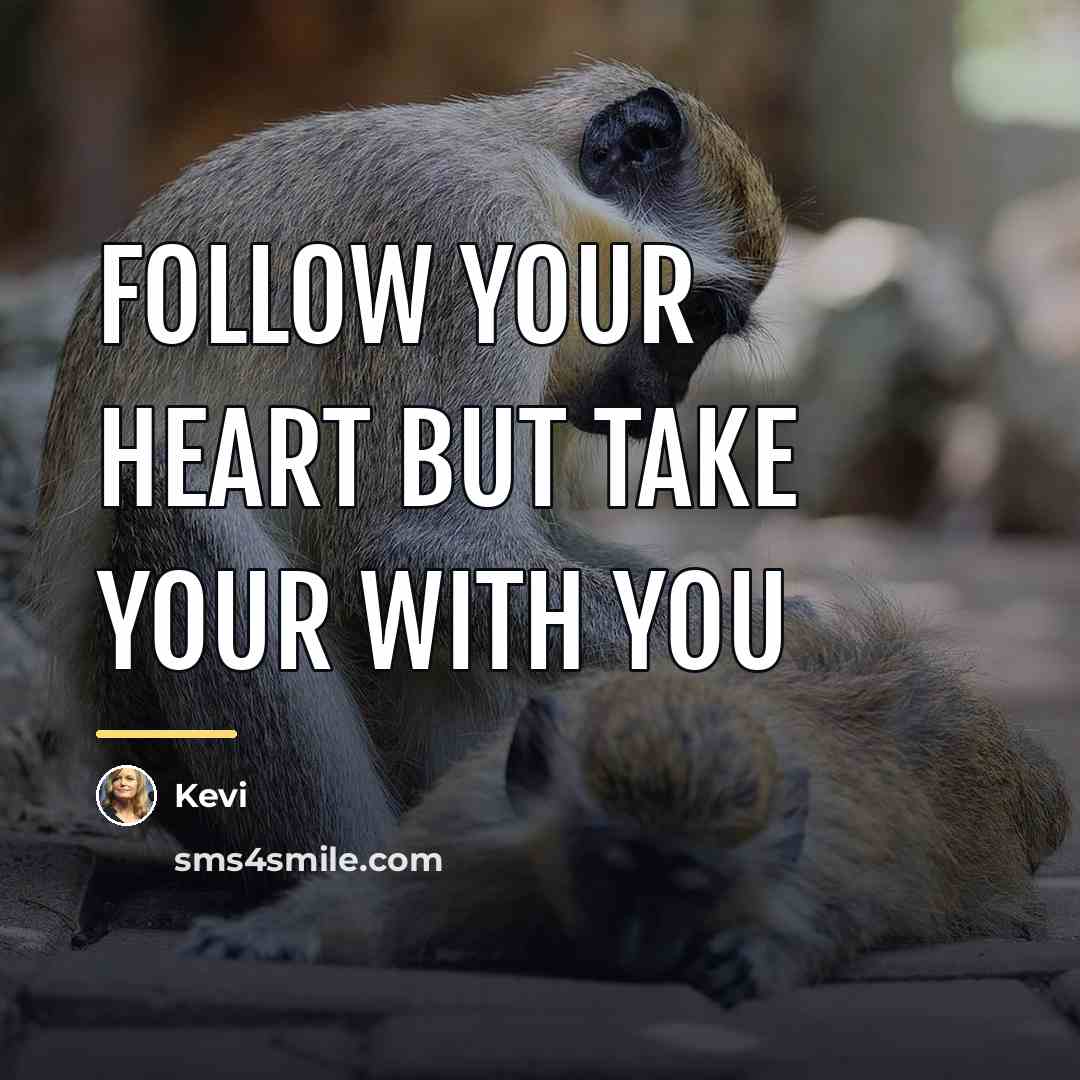 “Follow your heart but take your with you…” quote by Kevi
