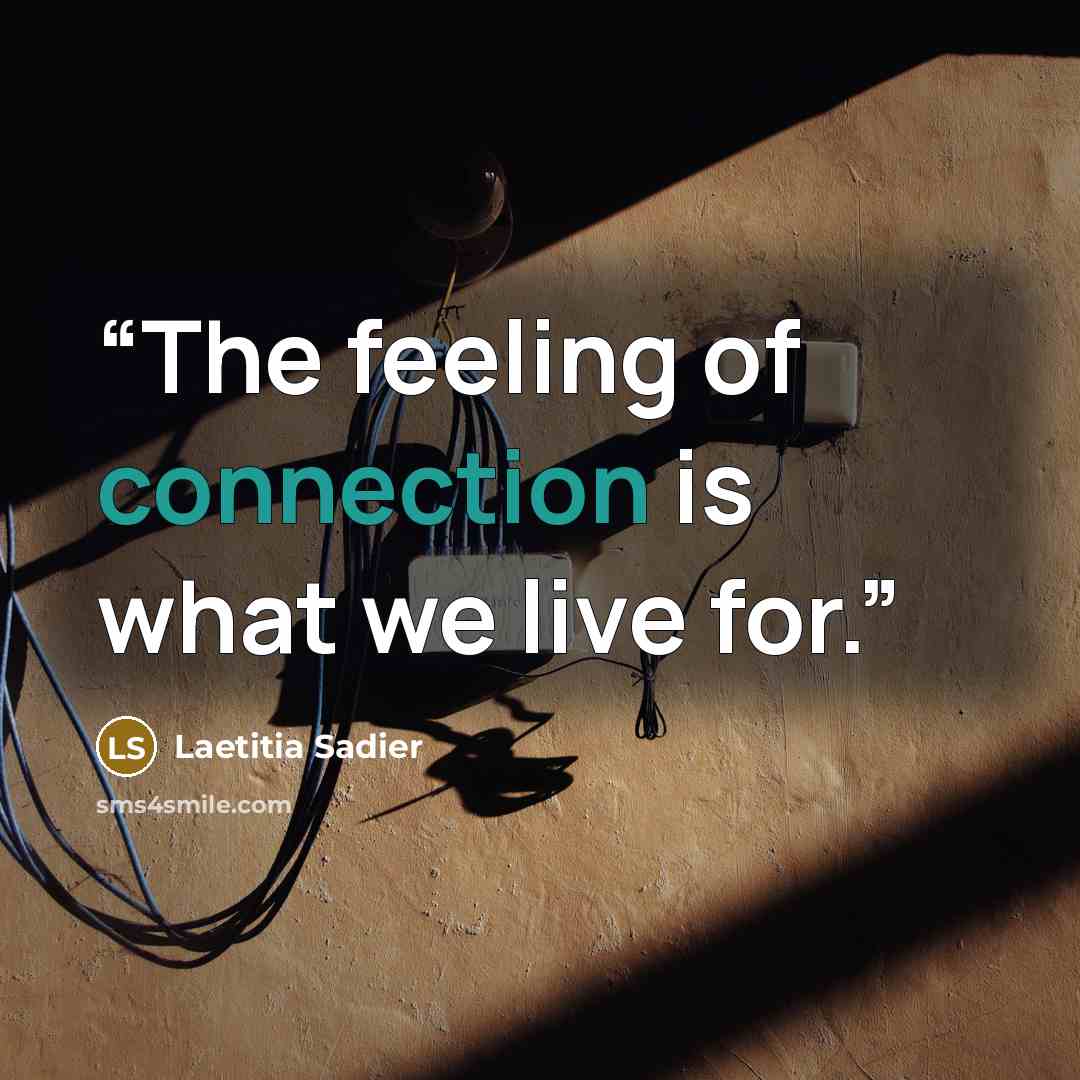 “The feeling of connection is what we live for.” quote by Laetitia Sadier
