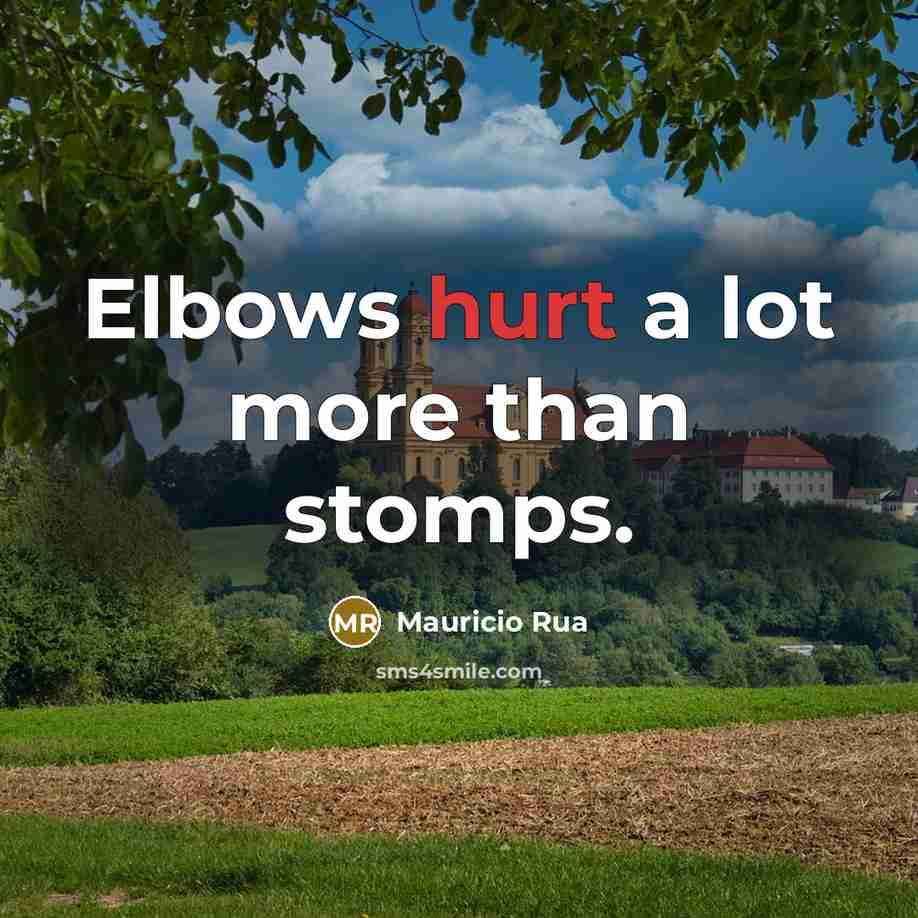 “Elbows hurt a lot more than stomps.…” quote by Mauricio Rua