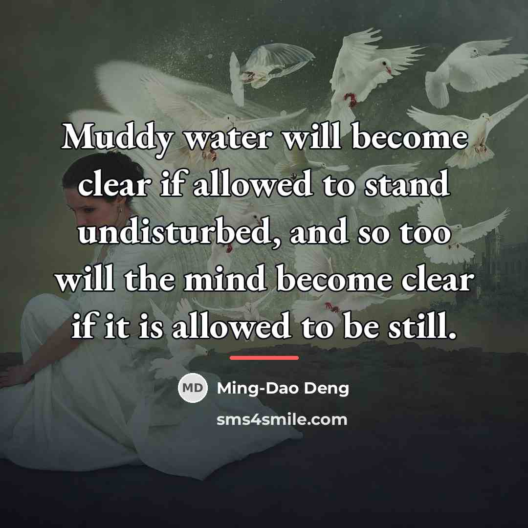 “Muddy water will become clear if allowed to stand undisturbed,…” quote by Ming-Dao Deng