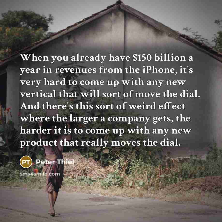 “When you already have $150 billion a year in revenues…” quote by Peter Thiel