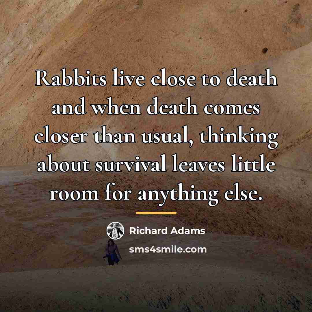 “Rabbits live close to death and when death comes closer…” quote by Richard Adams