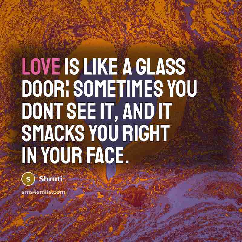 “Love is like a glass door¦ sometimes you dont see…” quote by Shruti