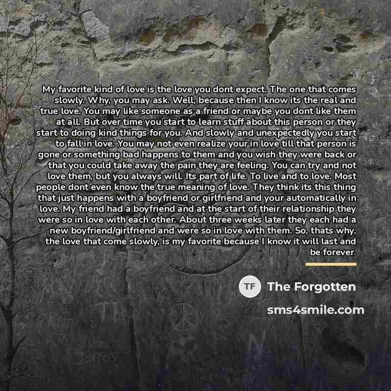 “My favorite kind of love is the love you dont…” quote by The Forgotten