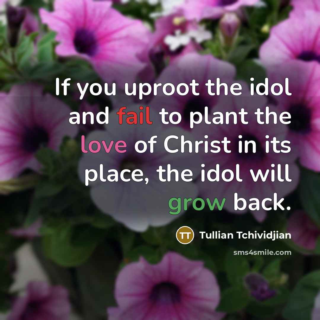 “If you uproot the idol and fail to plant the…” quote by Tullian Tchividjian