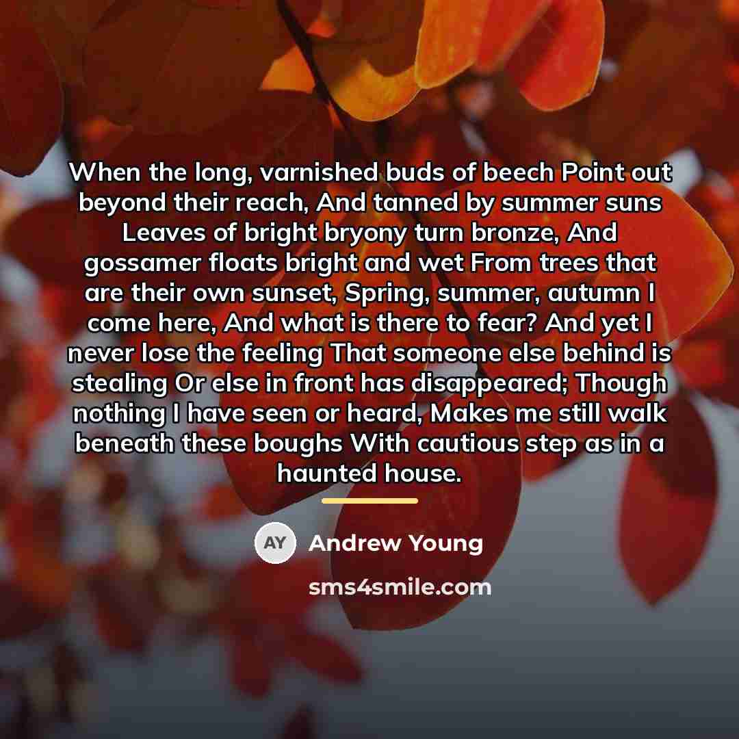 “When the long, varnished buds of beech Point out beyond…” quote by Andrew Young