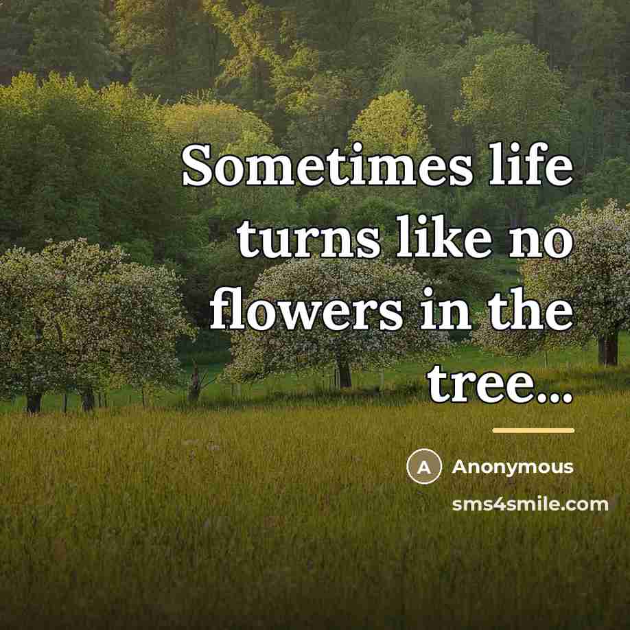 “Sometimes life turns like no flowers in the tree...…” quote by Anonymous