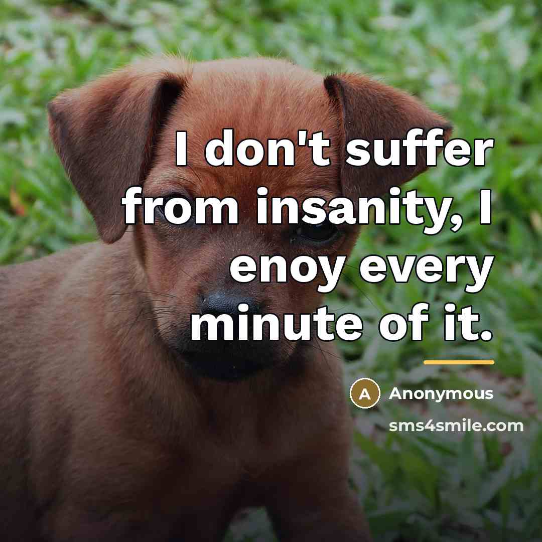 “I don't suffer from insanity, I enoy every minute of…” quote by Anonymous