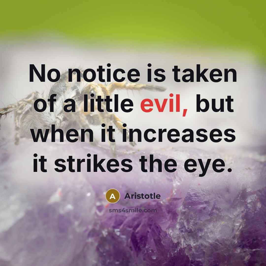 “No notice is taken of a little evil, but when…” quote by Aristotle