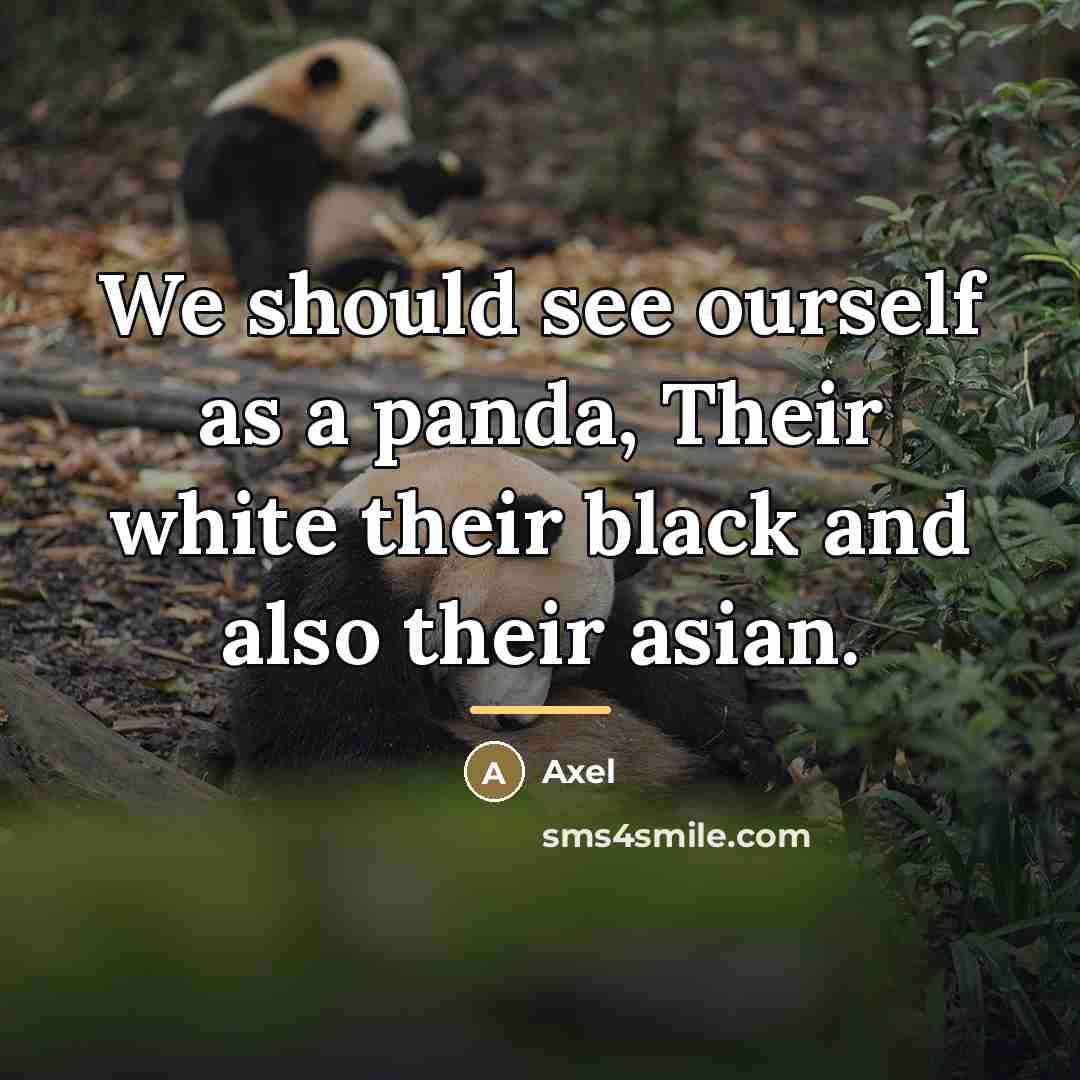 “We should see ourself as a panda, Their white their…” quote by Axel