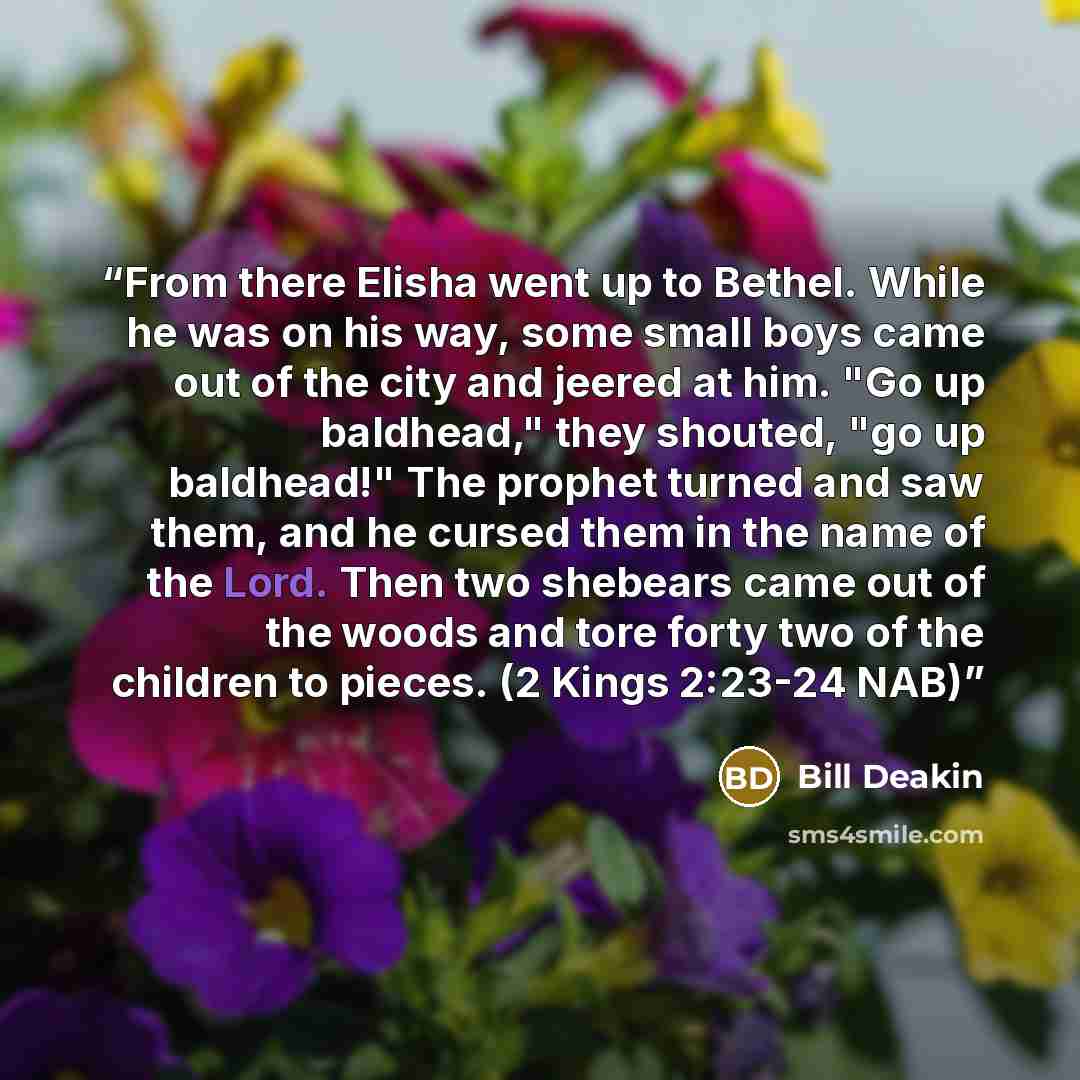 “From there Elisha went up to Bethel. While he was on his way, some small boys came out of the city and jeered at him. "Go up baldhead," they shouted, "go up baldhead!" The prophet turned and saw them, and he cursed them in the name of the Lord. Then two shebears came out of the woods and tore…” quote by Bill Deakin