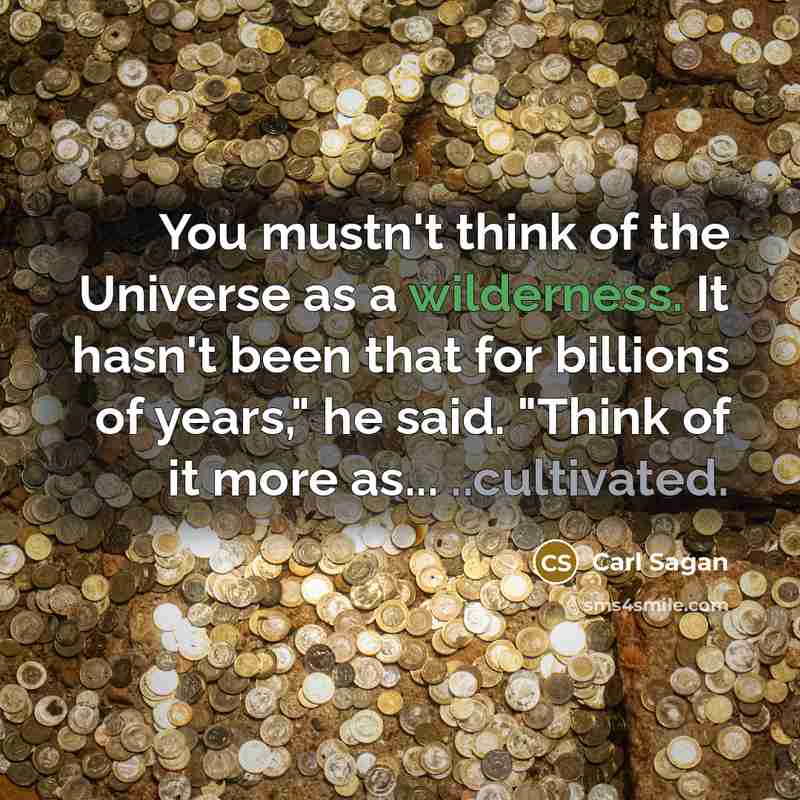 “You mustn't think of the Universe as a wilderness. It…” quote by Carl Sagan