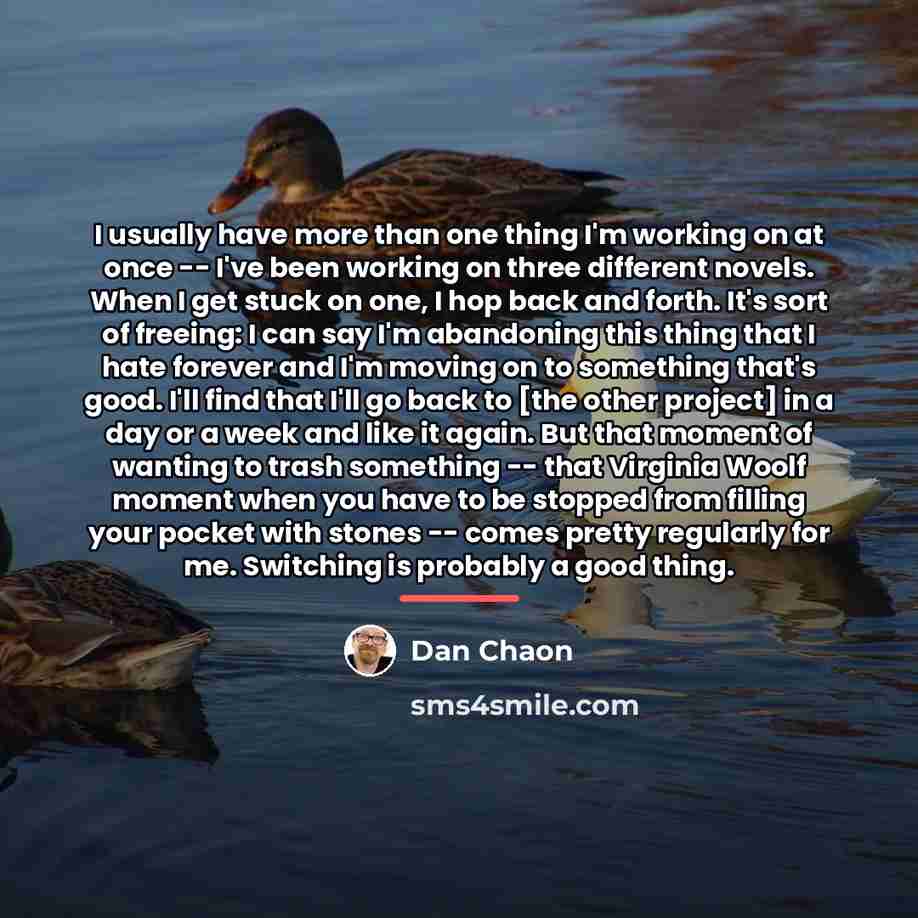 “I usually have more than one thing I'm working on…” quote by Dan Chaon