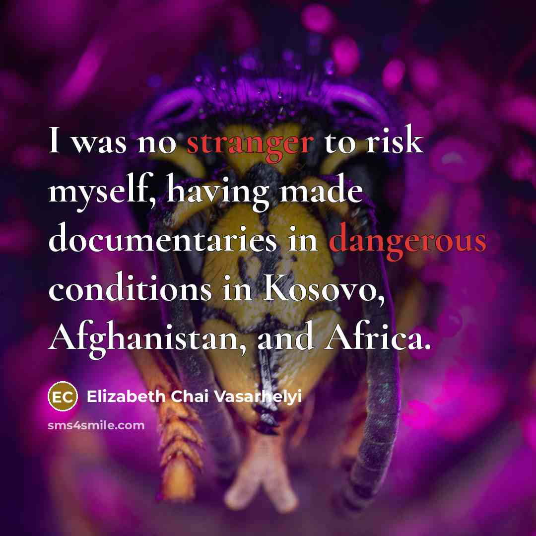 “I was no stranger to risk myself, having made documentaries…” quote by Elizabeth Chai Vasarhelyi