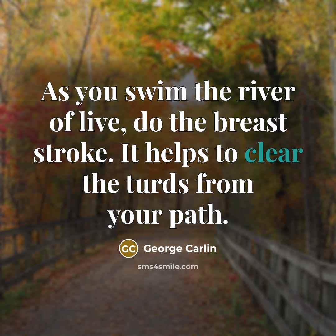 “As you swim the river of live, do the breast…” quote by George Carlin